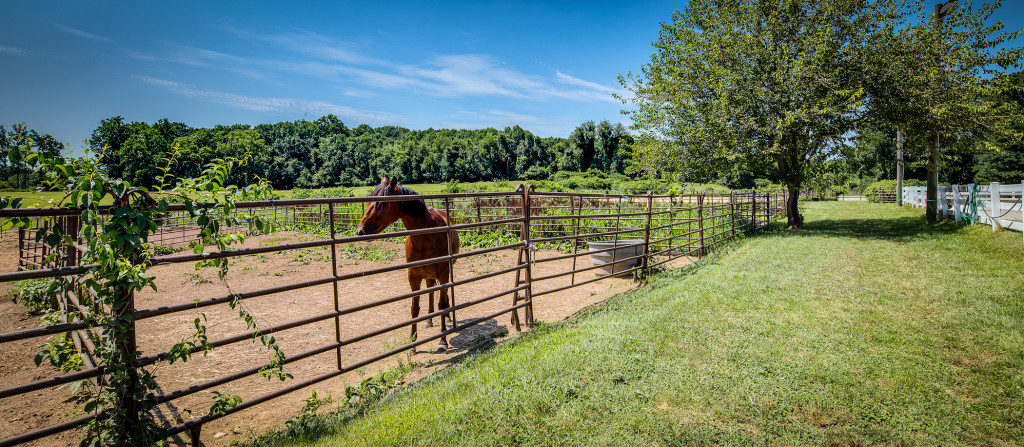 Jeanne Korber Portfolio-16