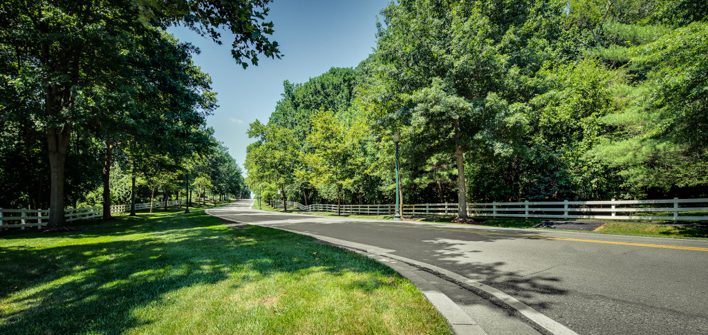 Jeanne Korber Portfolio-17