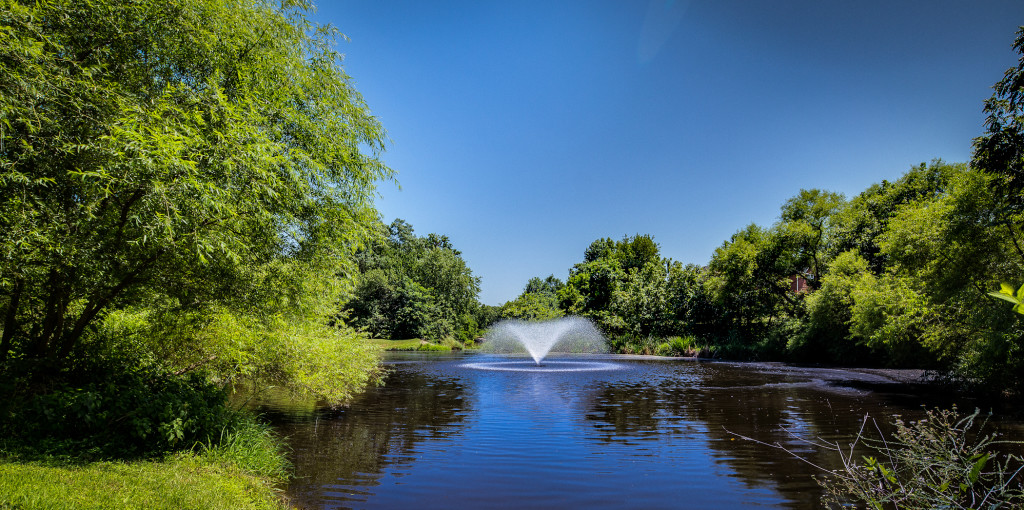 Jeanne Korber Portfolio-20